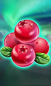 Winterberries